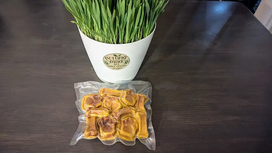 🐾 Homemade Super Greens Pet Treats