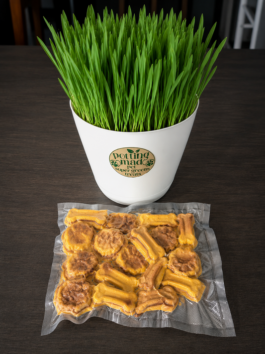 🐶 Pet Super Greens Dog Treats