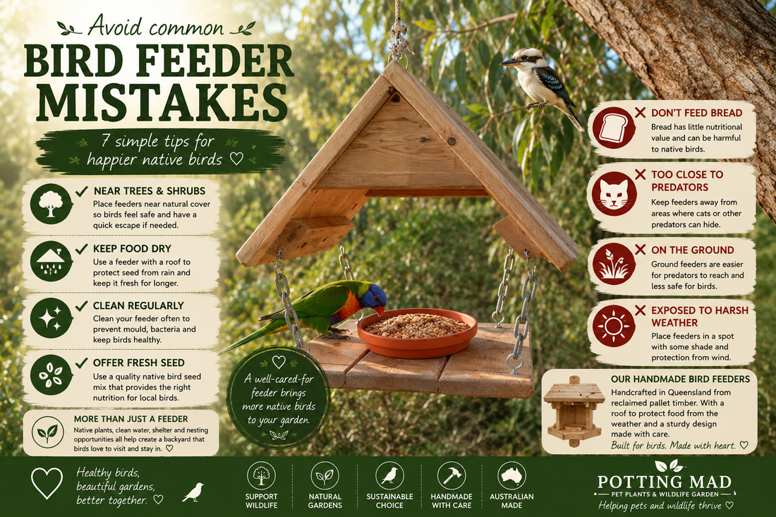 Bird Feeder Mistakes