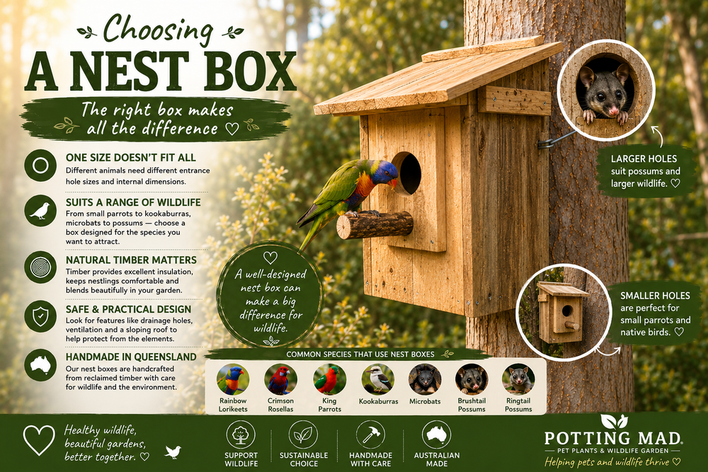 Choosing a Nest Box