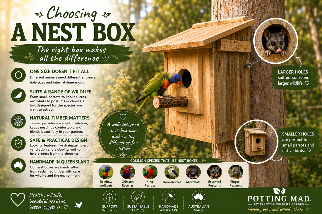 Choosing a Nest Box