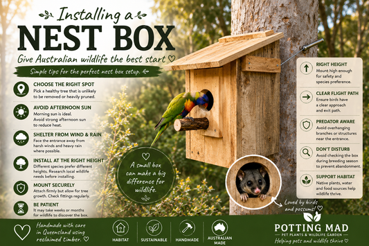 Installing a Nest Box