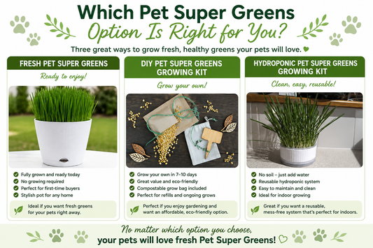 Which Pet Super Greens Option Is Right for You?