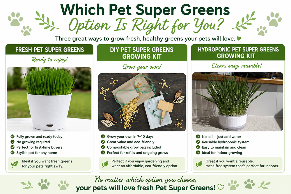 Which Pet Super Greens Option Is Right for You?