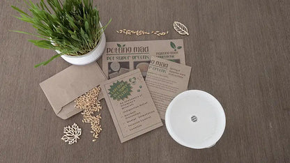 💧Hydroponic DIY Kit - Pet Super Greens
