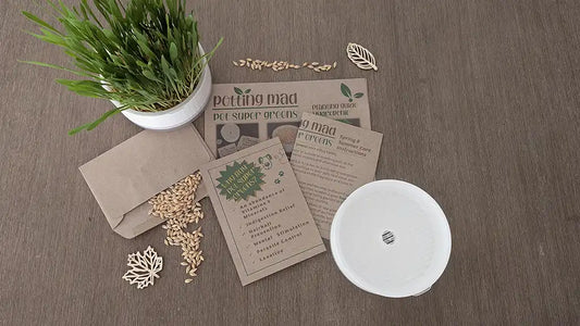 💧Hydroponic DIY Kit - Pet Super Greens