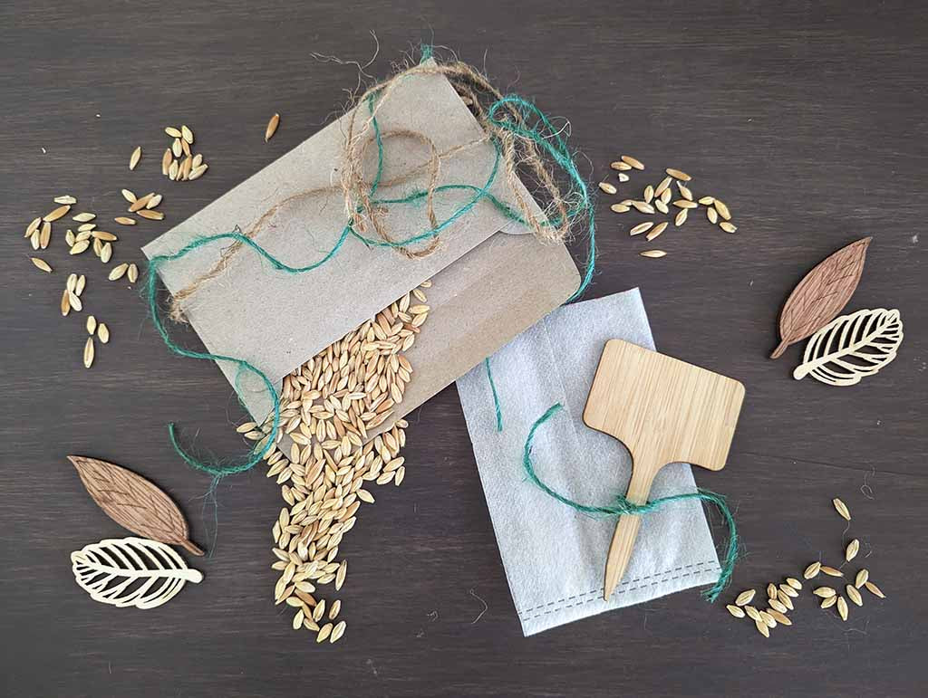 🛠️ DIY Pet Super Greens Growing Kit
