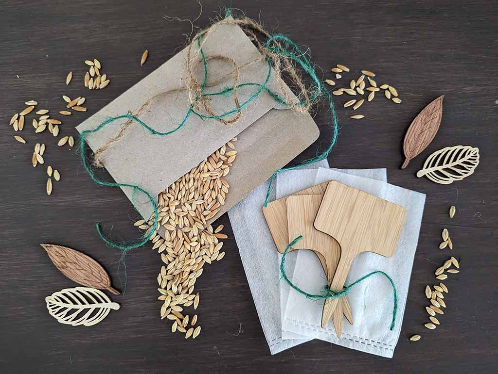 🛠️ DIY Pet Super Greens Growing Kit