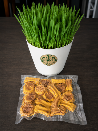 🐶 Pet Super Greens Dog Treats