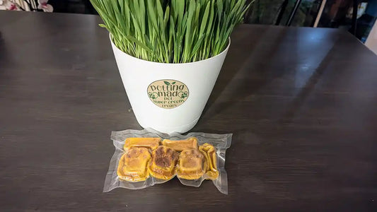 🐾 Homemade Super Greens Pet Treats