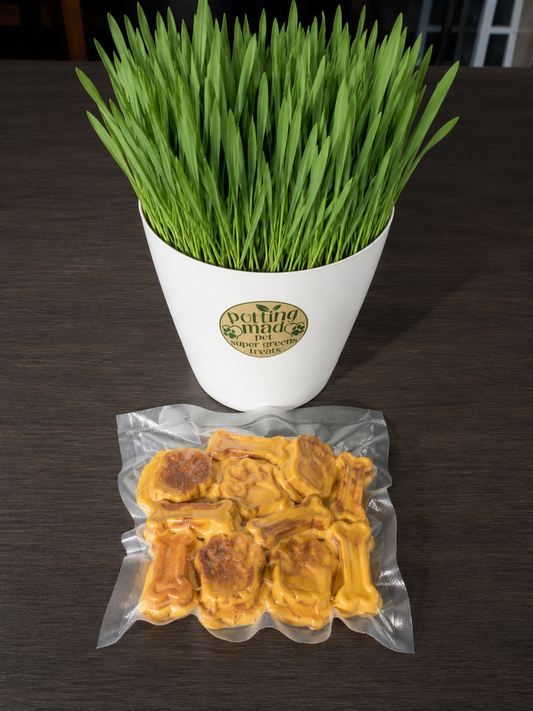 🐶 Pet Super Greens Dog Treats