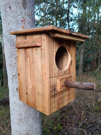 🦝 Possum Box – Handmade Timber Possum House