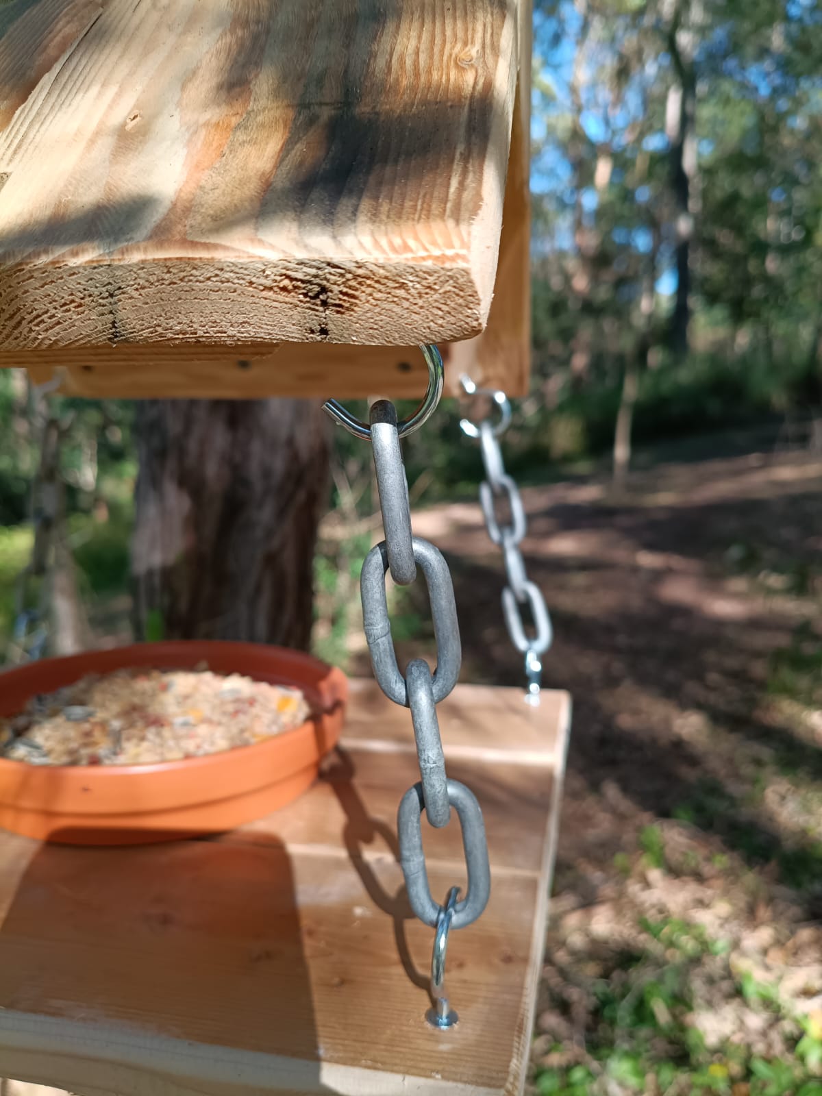 🐦 Handmade Timber Bird Feeder