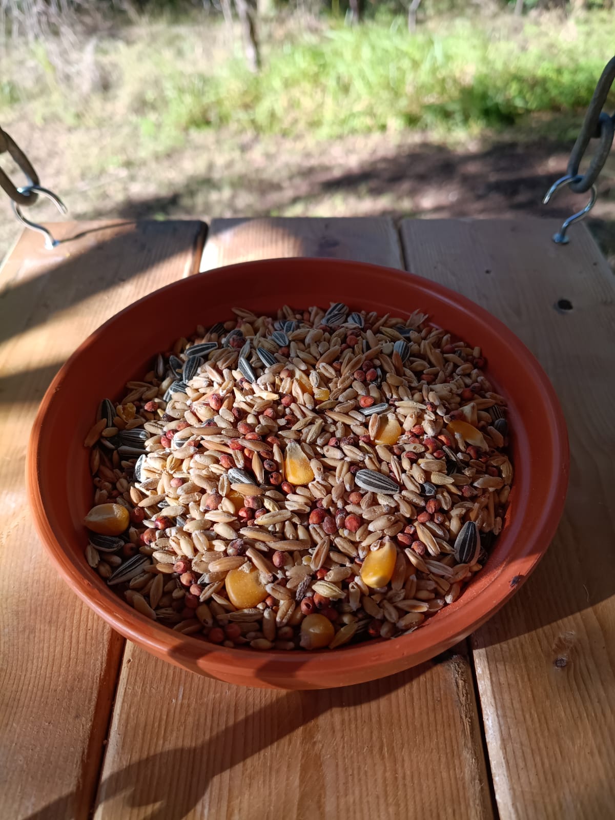 🐦 Handmade Timber Bird Feeder