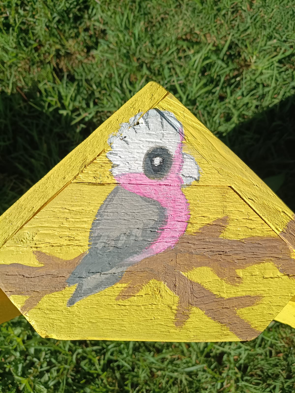 🐦 Handmade Timber Bird Feeder