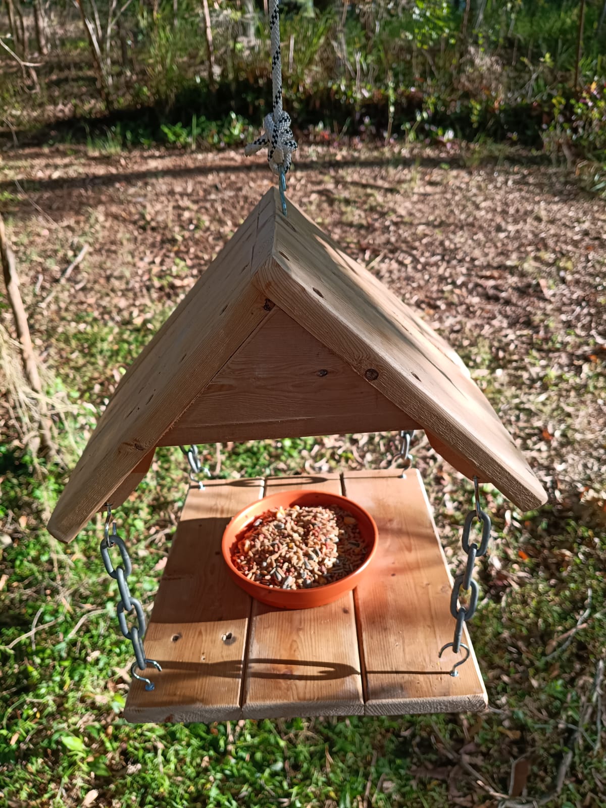 🐦 Handmade Timber Bird Feeder