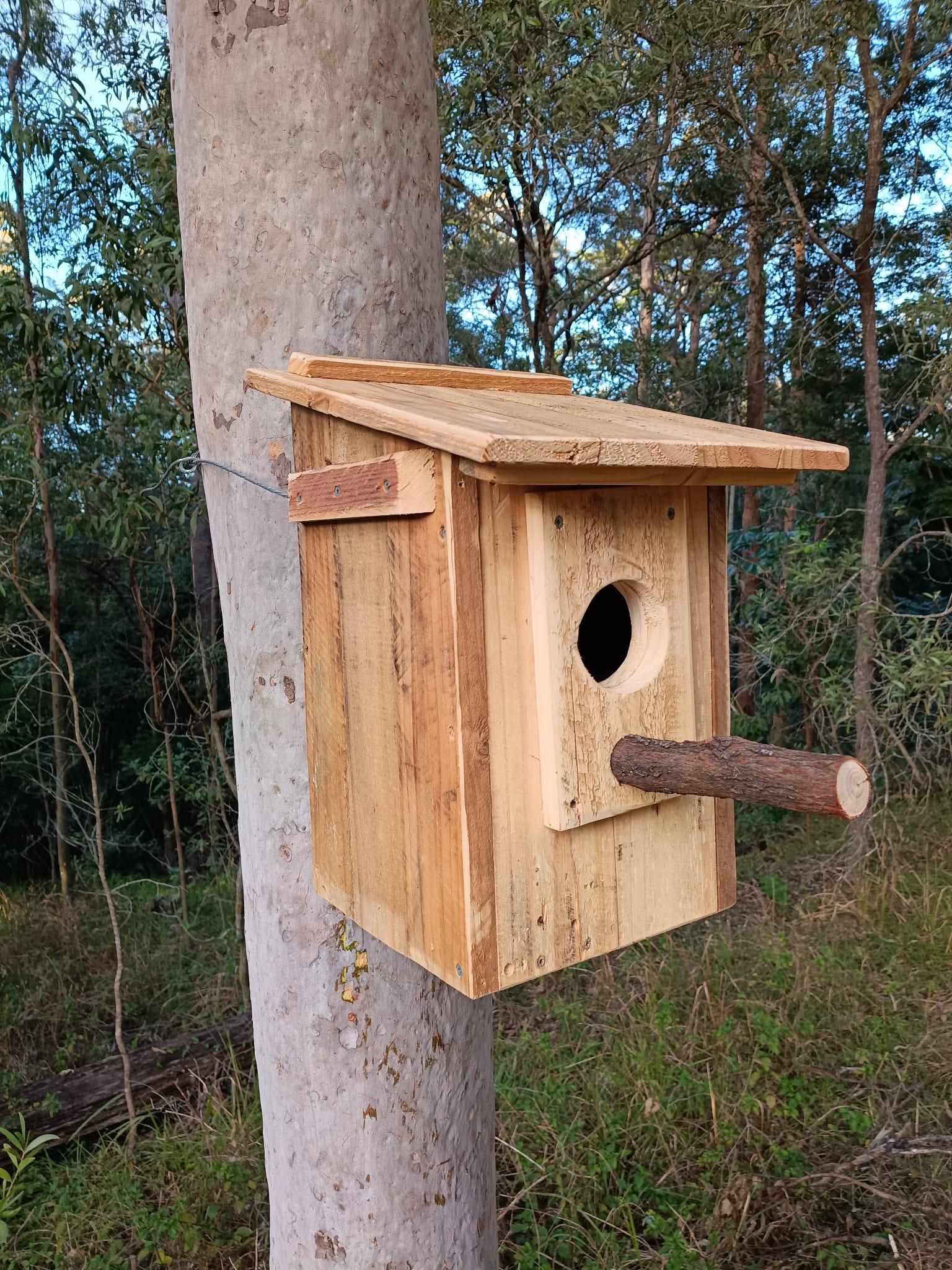 🏡 Handmade Wildlife Nest Box