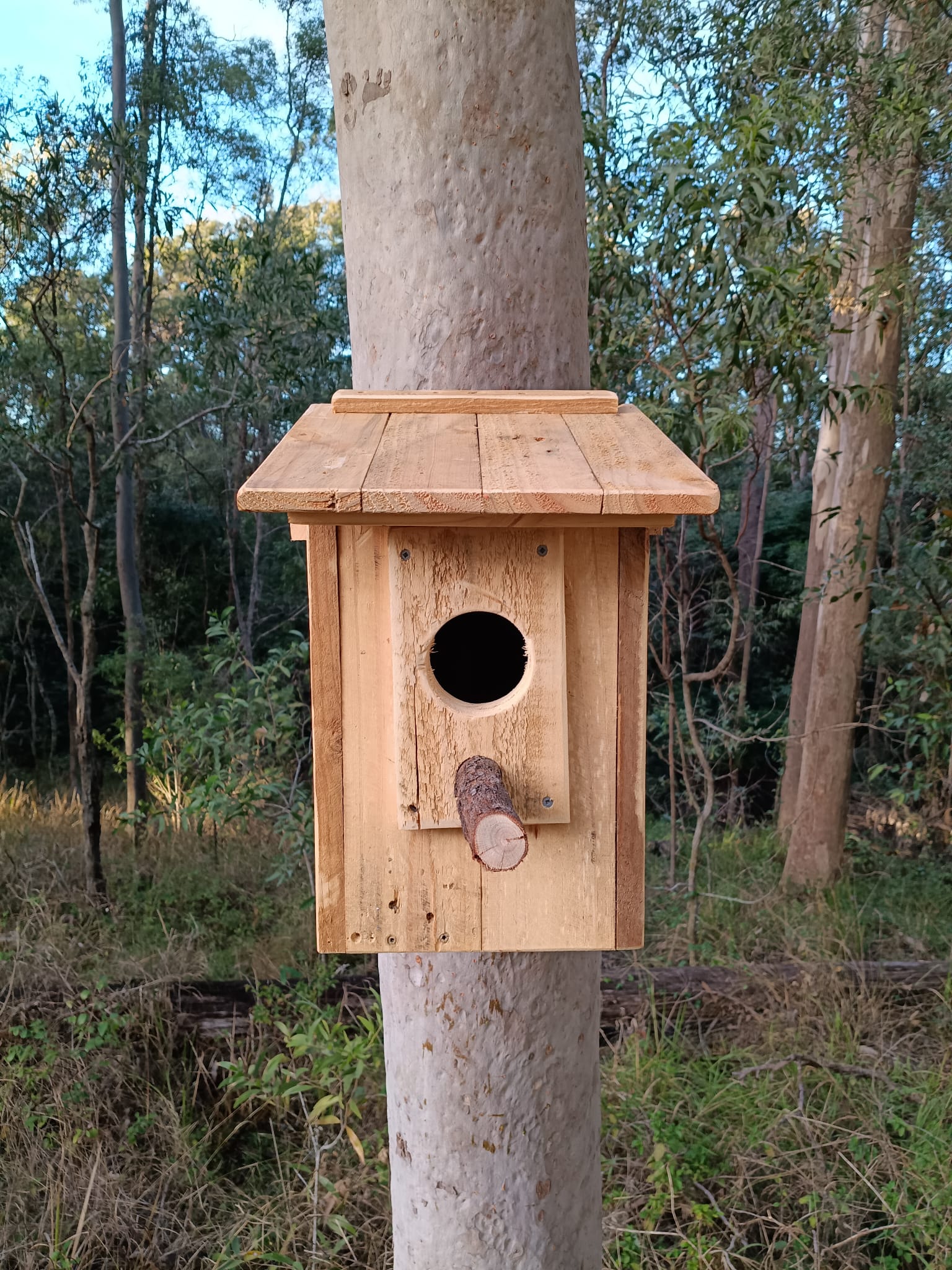 🏡 Handmade Wildlife Nest Box