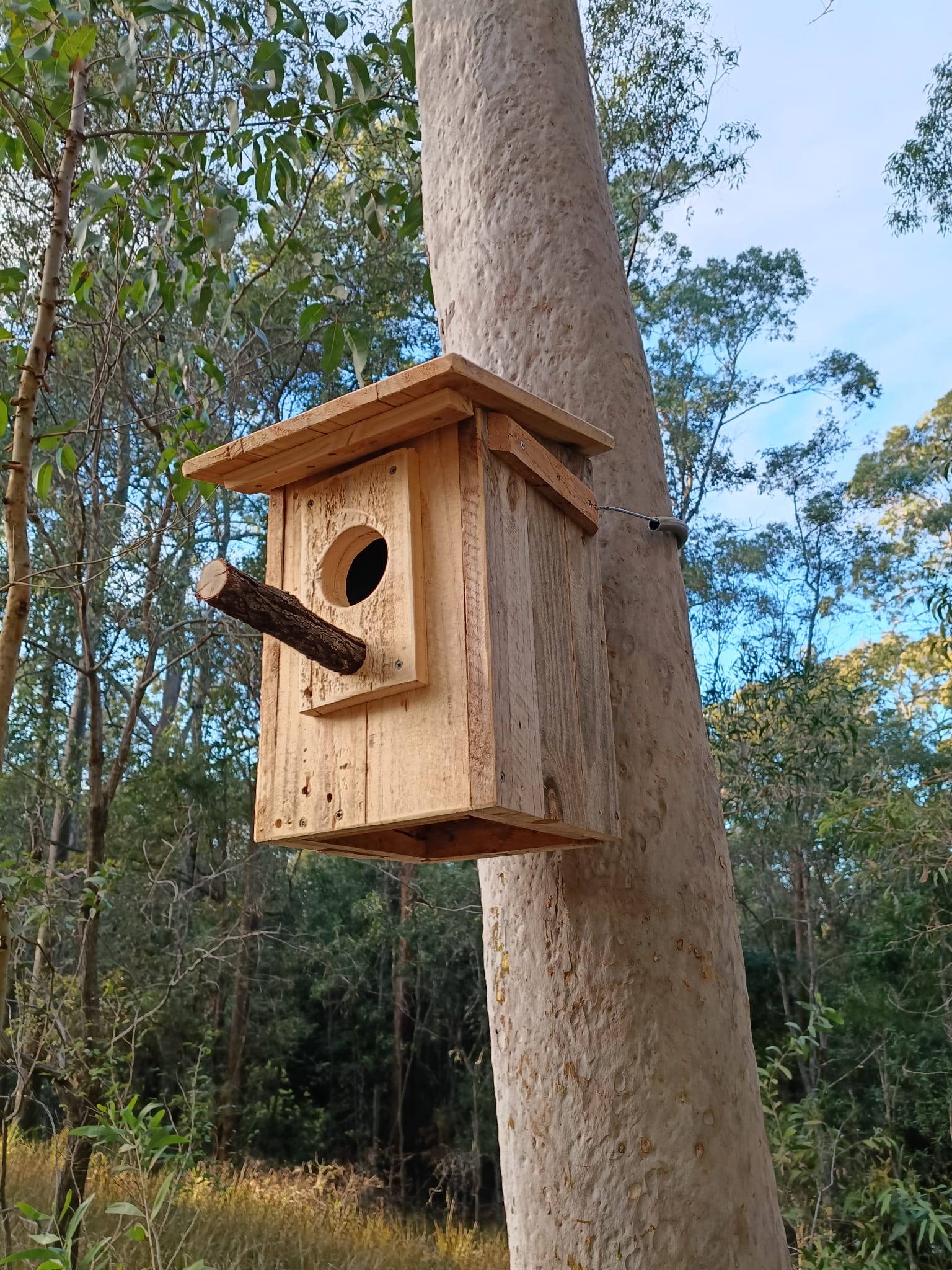 🏡 Handmade Wildlife Nest Box