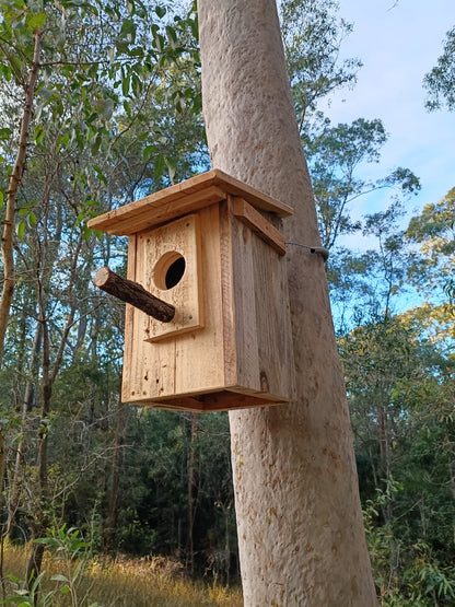 🏡 Handmade Wildlife Nest Box (Custom Species)
