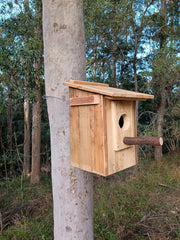 🏡 Handmade Wildlife Nest Box