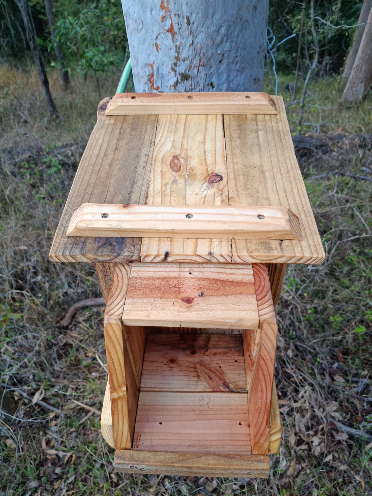 🪶 Kookaburra Box – Handmade Kookaburra Nest Box