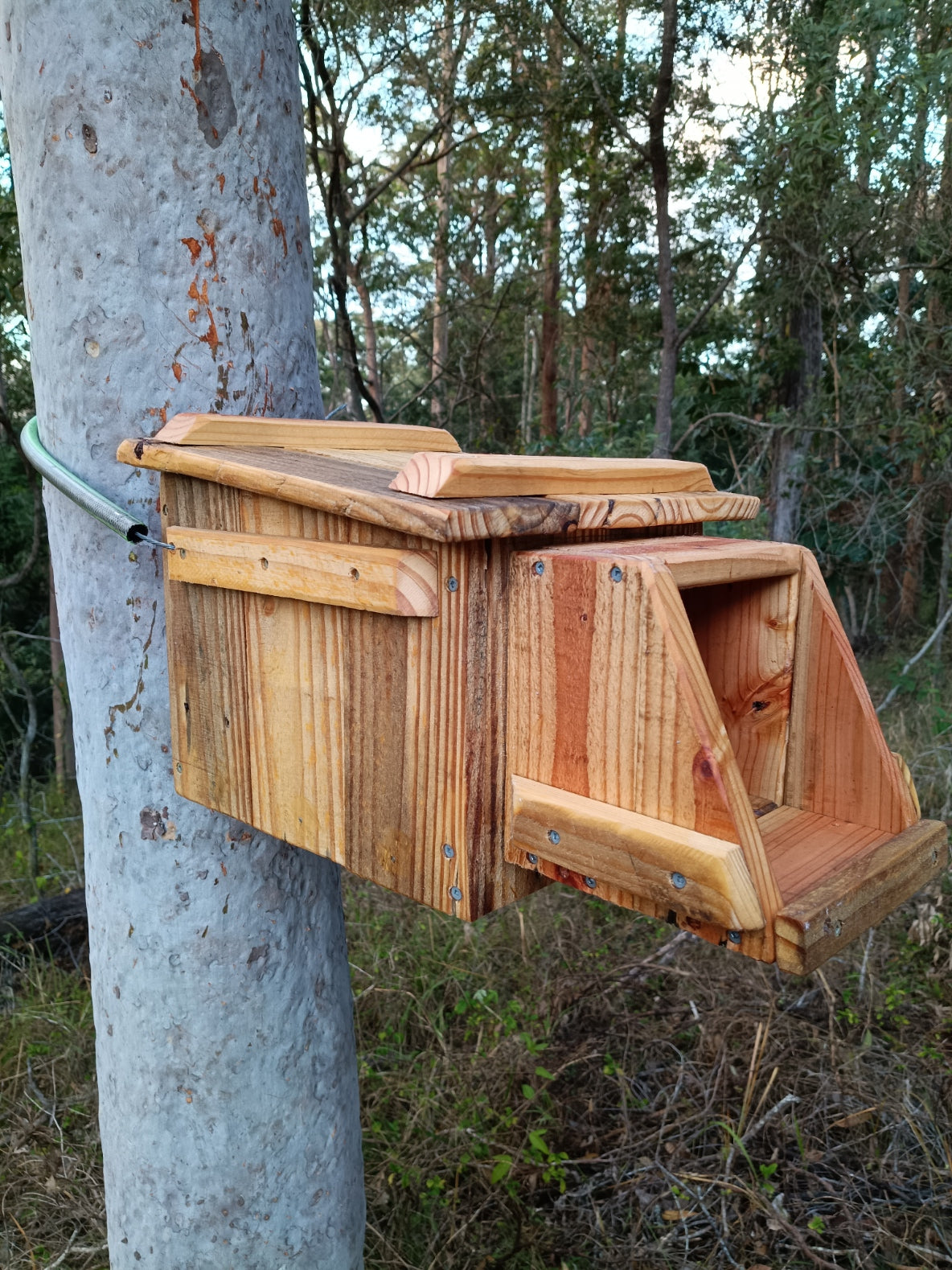 🪶 Kookaburra Box – Handmade Kookaburra Nest Box