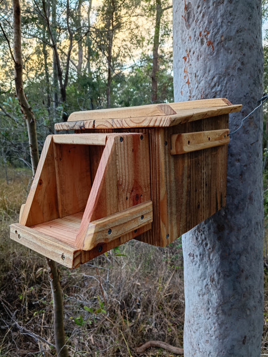 🪶 Kookaburra Box – Handmade Kookaburra Nest Box