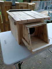 🪶 Kookaburra Box – Handmade Kookaburra Nest Box