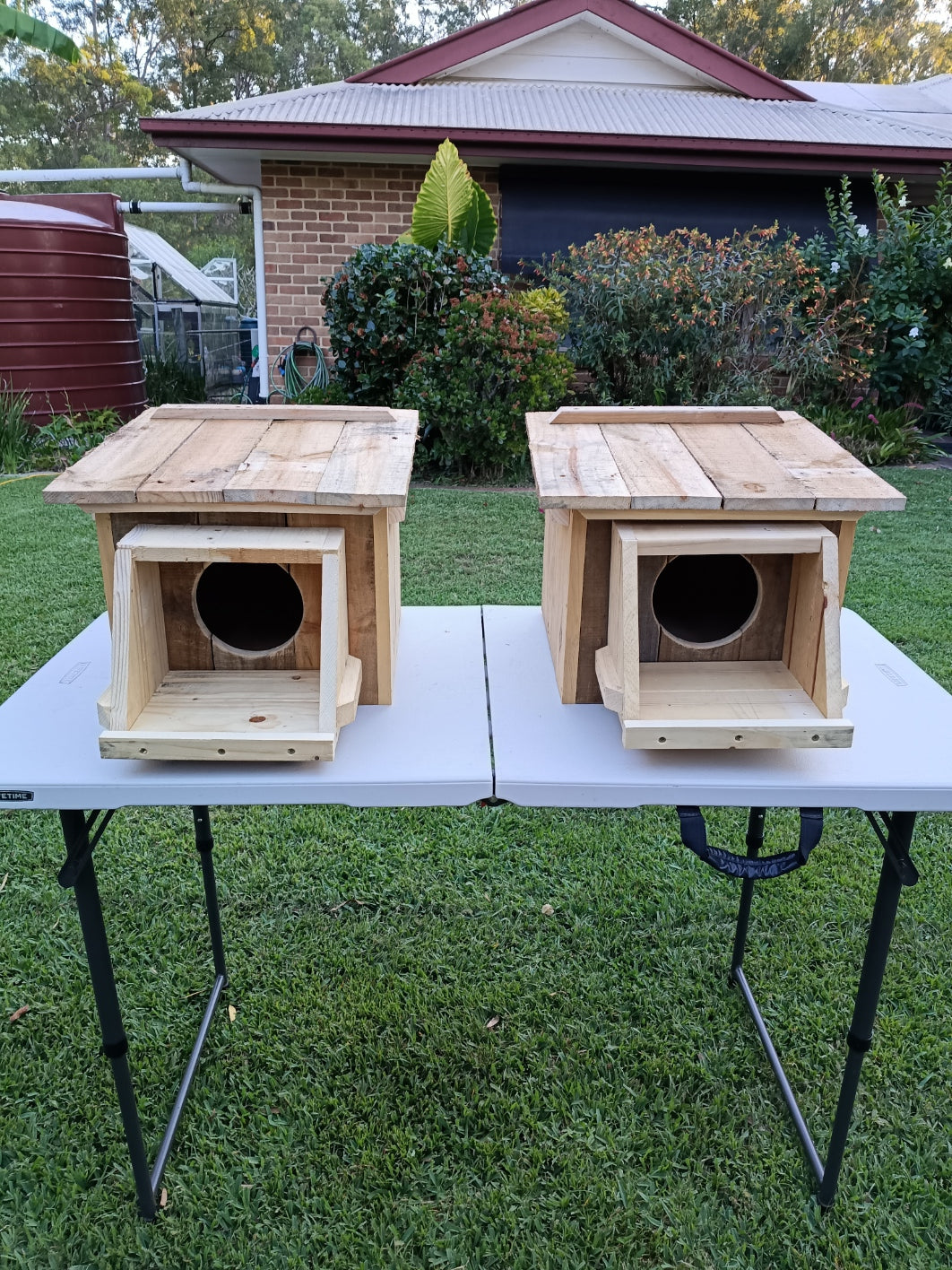 🪶 Kookaburra Box – Handmade Kookaburra Nest Box