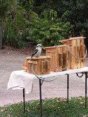 🪶 Kookaburra Box – Handmade Kookaburra Nest Box