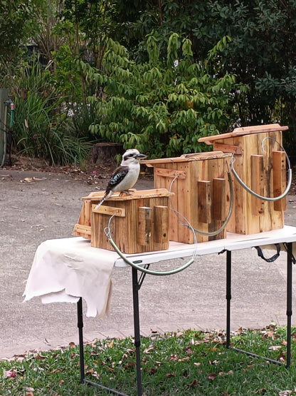 🪶 Kookaburra Box – Handmade Kookaburra Nest Box