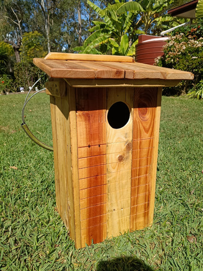 🦜 Bird Box – Handmade Parrot Nest Box