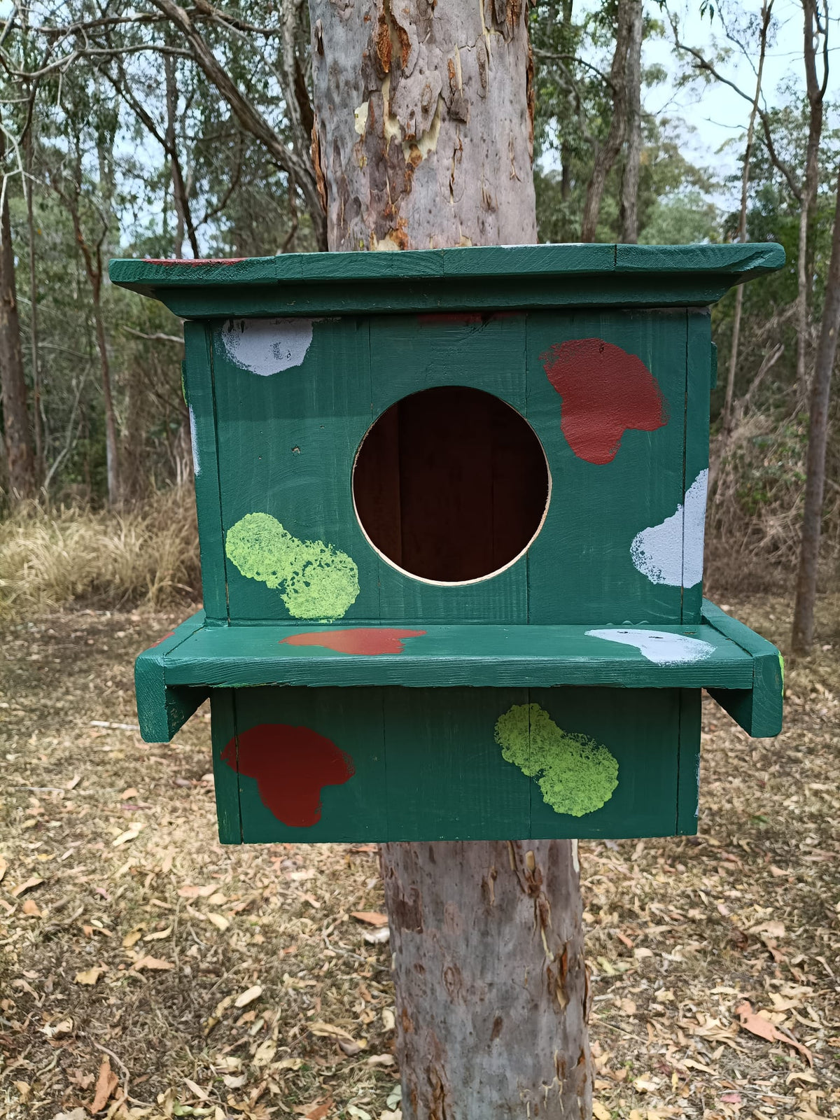🦉 Owl & Wood Duck Box – Handmade Duckling-Safe Nest Box