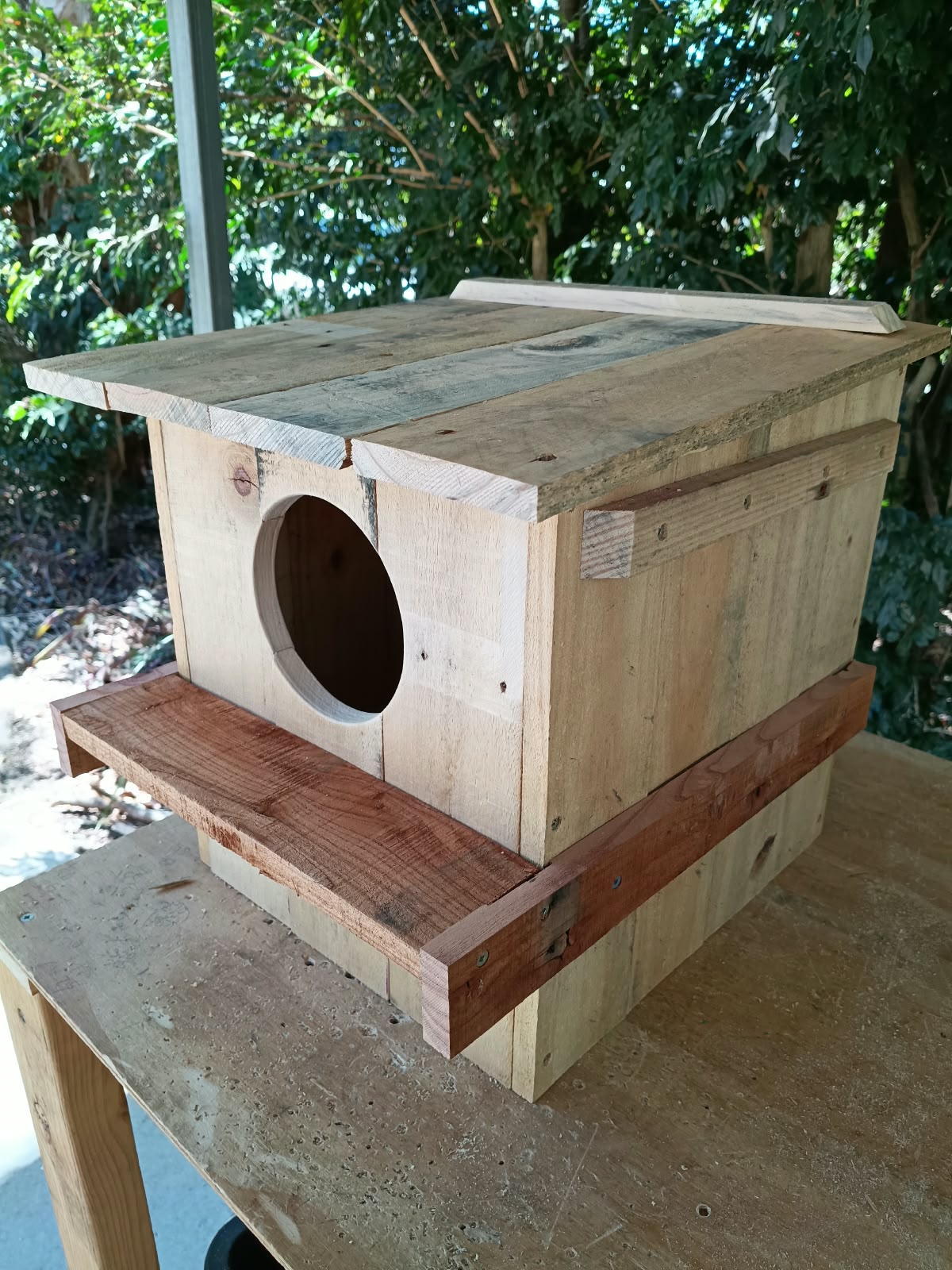 🦉 Owl & Wood Duck Box – Handmade Duckling-Safe Nest Box