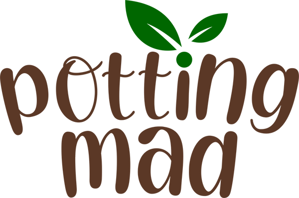 Potting Mad - Pet Super Greens