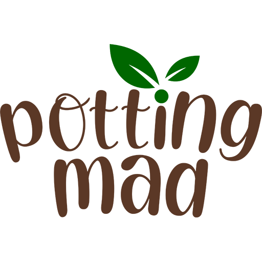 Potting Mad - Pet Super Greens