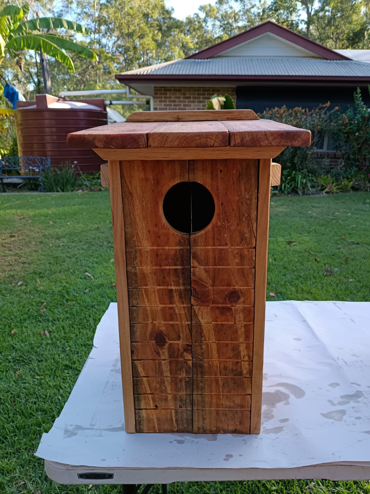 🦜 Bird Box – Handmade Parrot Nest Box