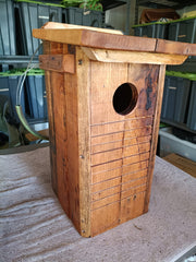 🦜 Bird Box – Handmade Parrot Nest Box