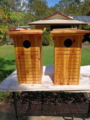 🦜 Bird Box – Handmade Parrot Nest Box